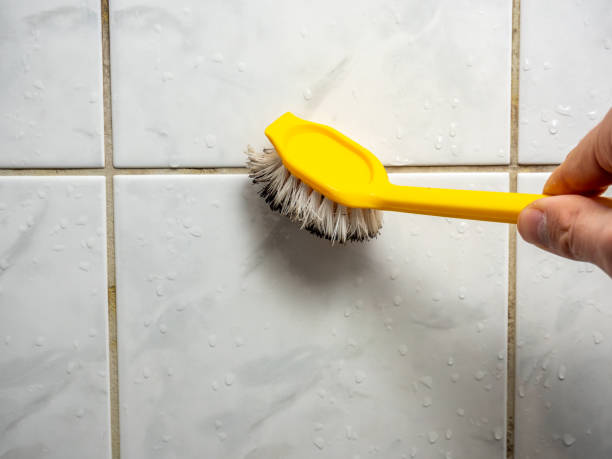 Best Home Mold Removal  in Grand Mound, WA