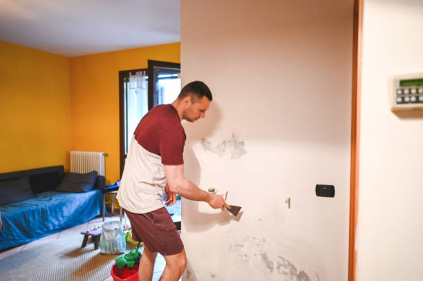 Best Mold Removal Company Near Me  in Grand Mound, WA